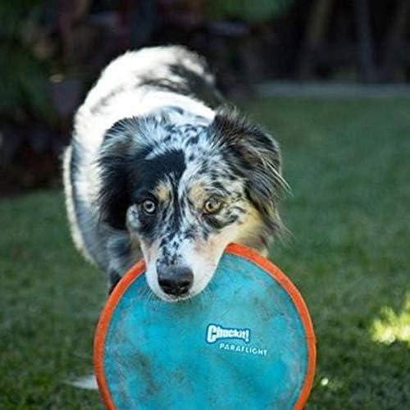 Chuckit™-Paraflight Flying Disc Dog Toy (6.75")