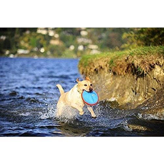 Chuckit™-Paraflight Flying Disc Dog Toy (6.75")
