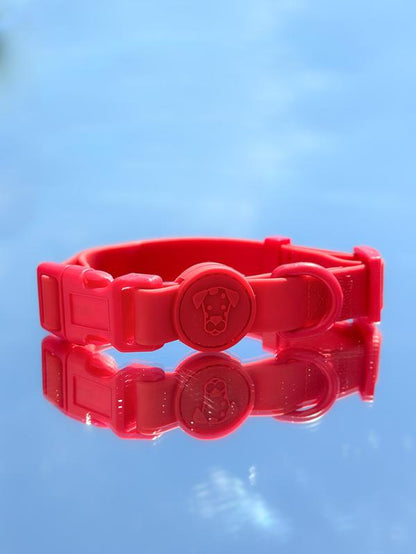 Waterproof Dog Collar | Essential Accessory for Pets | Adjustable Fit | Dirt and Odor Resistant | Green, Blue, Red, Pink and Beige Collar