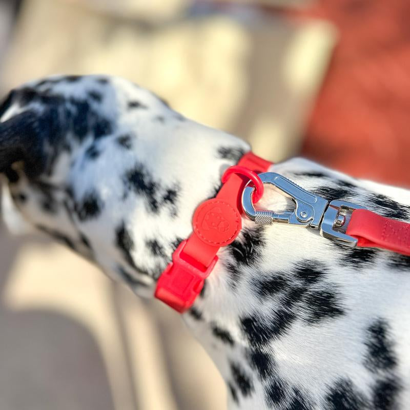 Waterproof Dog Collar | Essential Accessory for Pets | Adjustable Fit | Dirt and Odor Resistant | Green, Blue, Red, Pink and Beige Collar