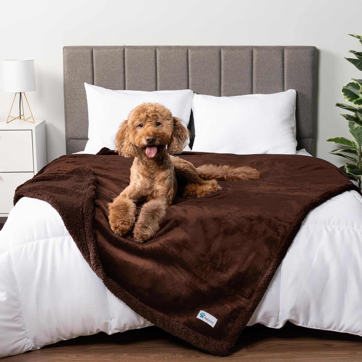 Waterproof Dog Blanket for Medium Large Dog Puppy Cat Throw for Couch Cover Leakproof Protection, Sherpa Fleece, Reversible Soft Washable 60X40 Brown Brown