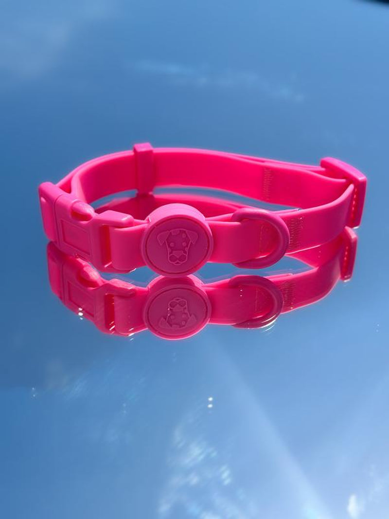 Waterproof Dog Collar | Essential Accessory for Pets | Adjustable Fit | Dirt and Odor Resistant | Green, Blue, Red, Pink and Beige Collar